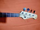 5 string bass (signed by shakil vai from SBC)
