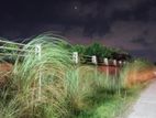 50 bigha land rent @ tongi