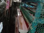 ৫০০ কোয়েল পাখির খাঁচা