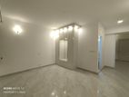 5000 Sqft Brand New Luxurious Apartment Rent at Gulshan