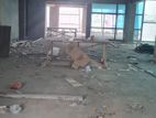 5000Sqft Commercial Open Office Space Rent Mohakhali Nice View