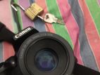 50mm Stm Prime Lens