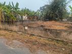 54ft Rd 5 Katha Forest View North-sec-24