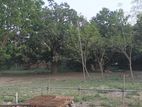 5.5 Land For Sale