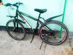 Bicycle for sell