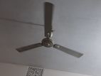 56" ceiling fan