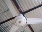 Fan for sell