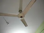 56" Fresh Condition Celling Fan