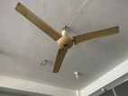 56 inch fan for sale