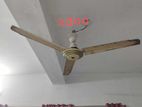 56 inch Fan