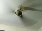 56" National Tongi Fan