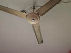 Fan for sell