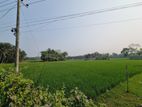 ৫৭.৭৫ শতক কৃষি/বাণিজ্যিক জমি বিক্রয় হইবে।