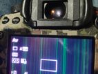 5d Mark Iii