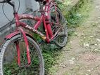 Bicycles for sell