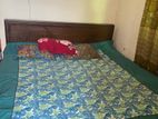 6 Feet Size Bed