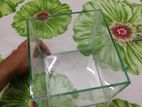 6 Inc Cube