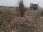 ৬ কাঠার প্লট বিক্রয় P ব্লক বসুন্ধরা ৥৥