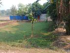 6 Katha Land for Urgent Sell