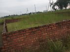 6 katha land sale P-block south face with boundary@Bashunhdhara r/a
