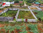 6 Katha Plot in Sec#9 , Road# 415A