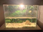 aquarium for sell