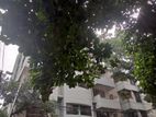 6- Storied Full Building For Rent In Gulshan