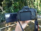 600 d body 75/300 zoom