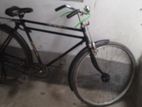 Duranta Bicycle for sale