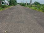 60ft Rd 5 Katha Park West at Sector-16/D