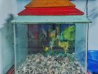 65 Liter Aquarium