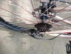 Bicycle for sell