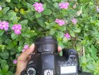 6D with box+ 50mm stm prim...