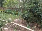 ৭ শতকের বাউন্ডারি করা প্লট বিক্রি হবে