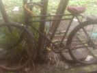 Bicycle for sell