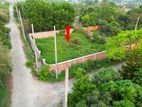 7.5 Katha corner plot near 300ft expressway.