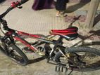 Duranta Bicycle for sale