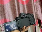 750d (new Conditions)
