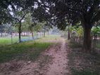 8 Bigha land rent for factory/warehouse in Ashulia Savar (0A)