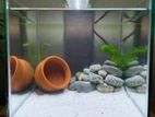 8 cube aquarium sale hobe