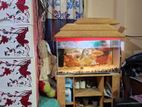 একুরিয়াম (Aquarium)