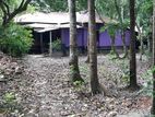 ৮ শতক জমি বিক্রি বাড়ি সহ।