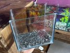 Aquarium For Sell