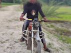 Bike for Sell 2010