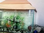 9/18 size aquarium 4 days use with fish parrot