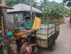 Motorized three-wheeled