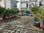 9000 Sft Roof Top Rent For Restaurant in Banani
