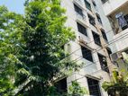 965 Sqft South- West Corner Apartment For Rent