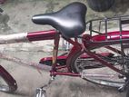 Bicycle for sale