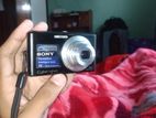 a Sony Cyber-shot DSC-